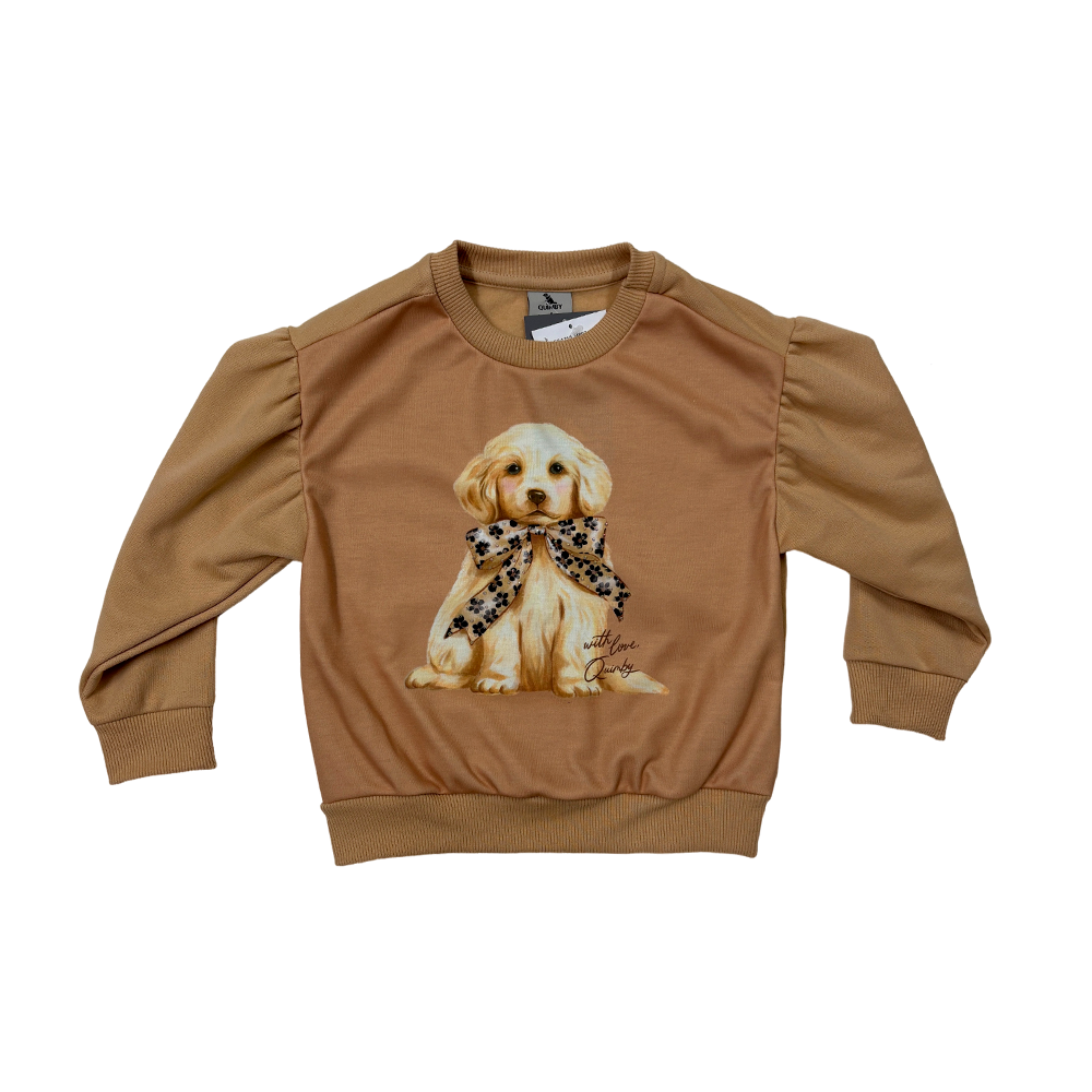 Conjunto perrito